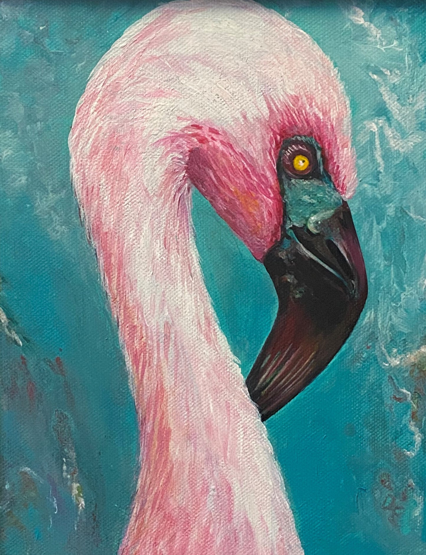 Flamingo II