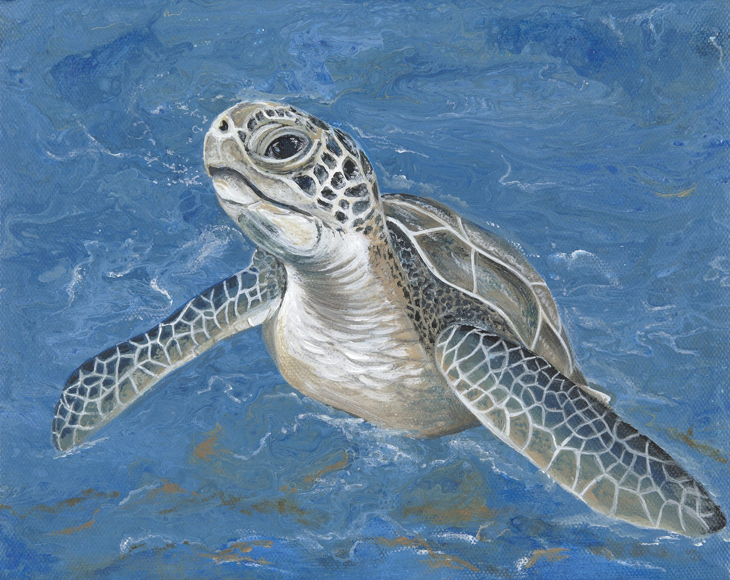 Sea Turtle