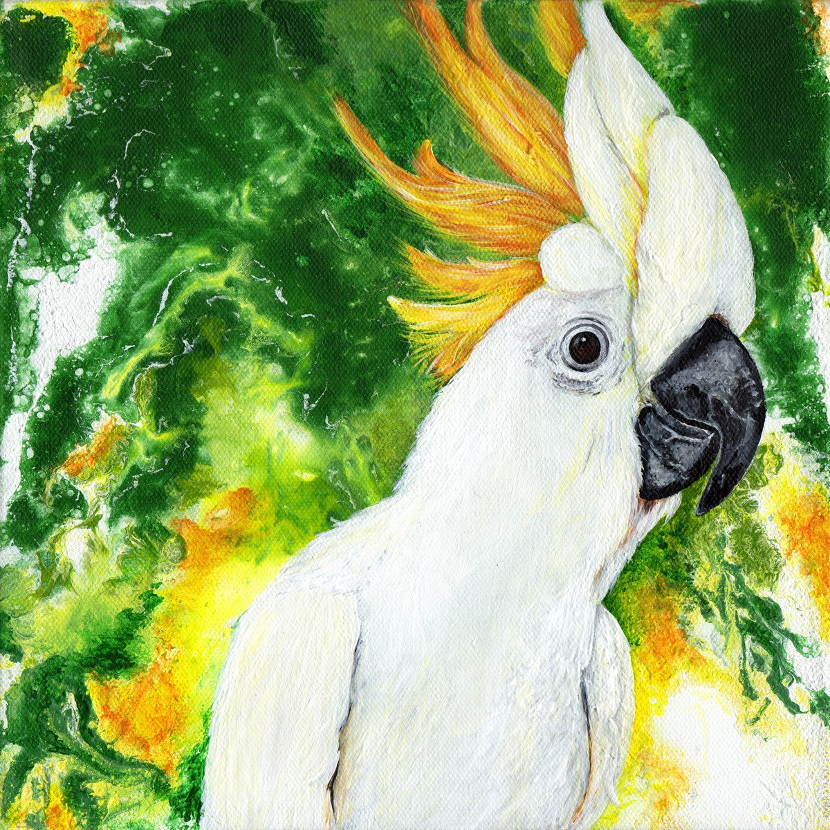 Cockatoo