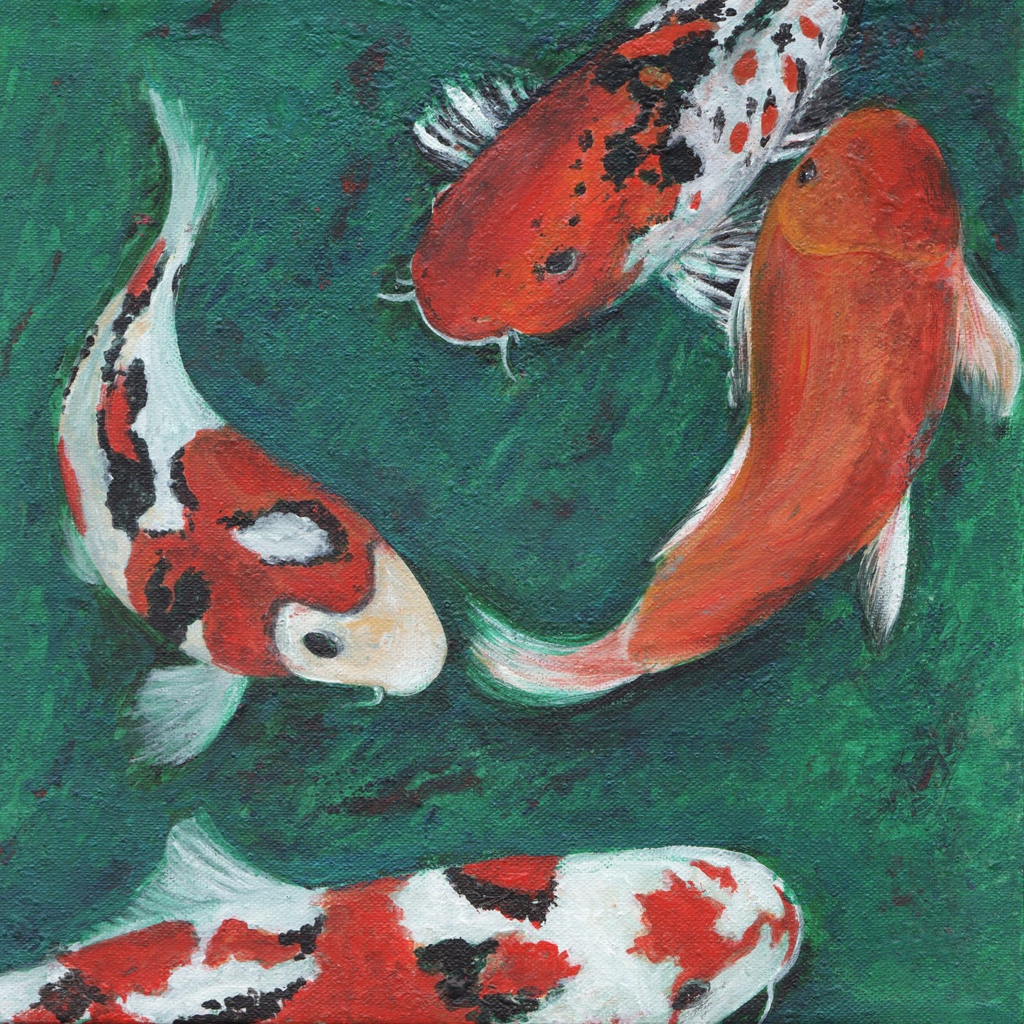 Koi